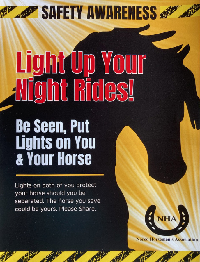 Be Seen, Put Lights on You and Your Horse